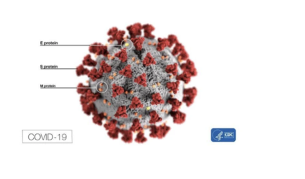 Le coronavirus chez les athlètes: description d'un virus et du système immunitaire des sportifs